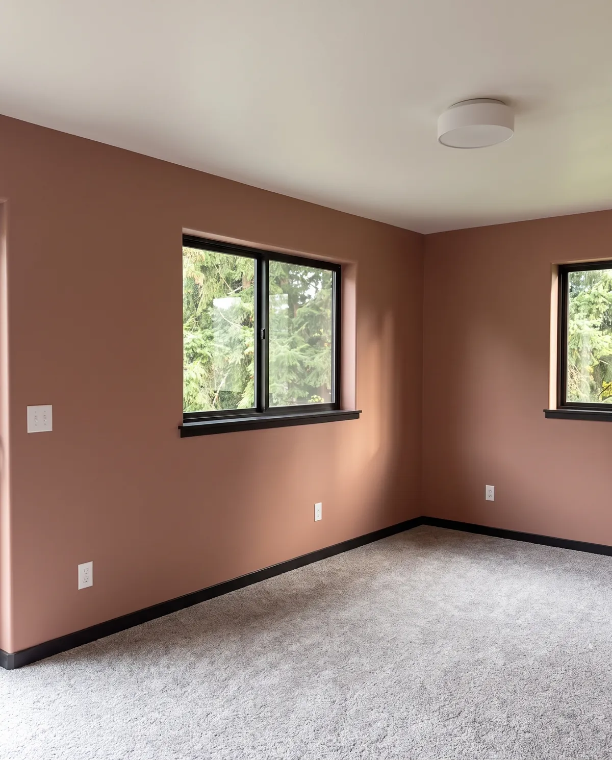 Bedroom with clay-colored walls and black window trim and baseboards