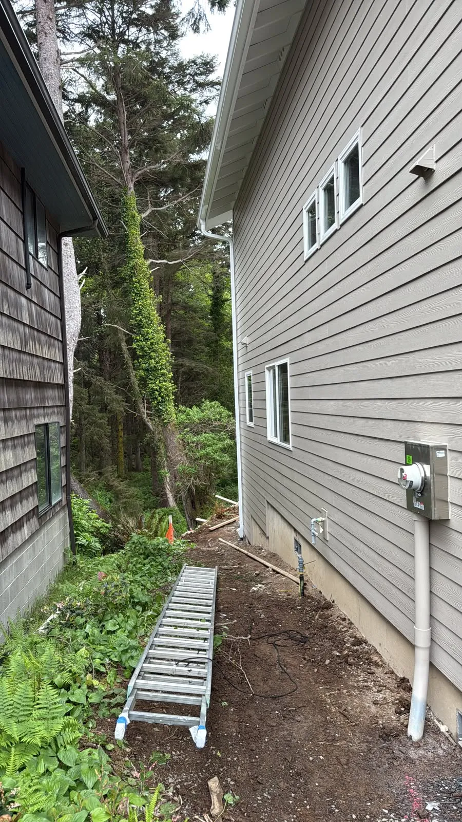 Side of a house with grey lap siding and a ladder on the ground, during an Olvera Painting exterior job